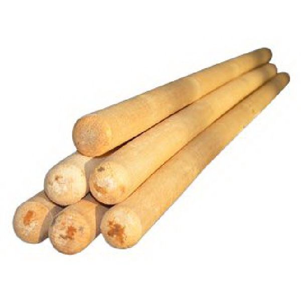 Черенок березовый 25 мм