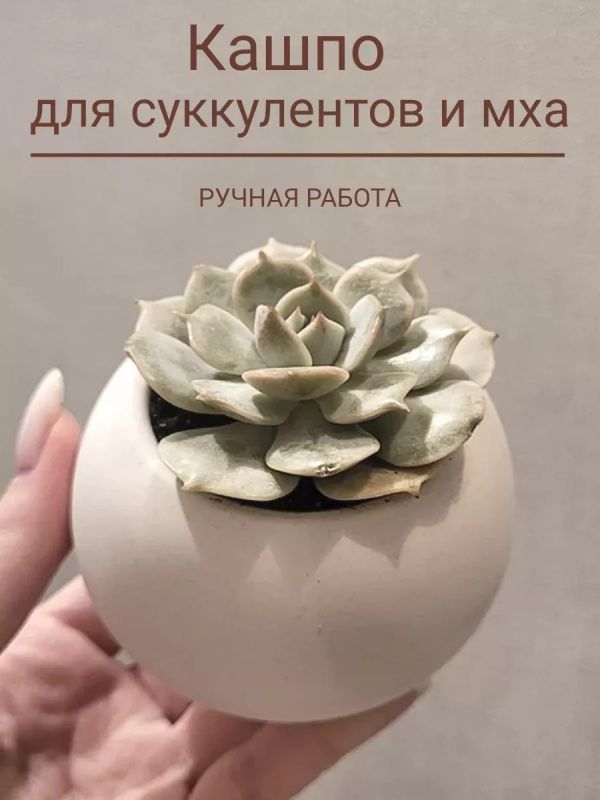 Кашпо для суккулентов кактусов и мха