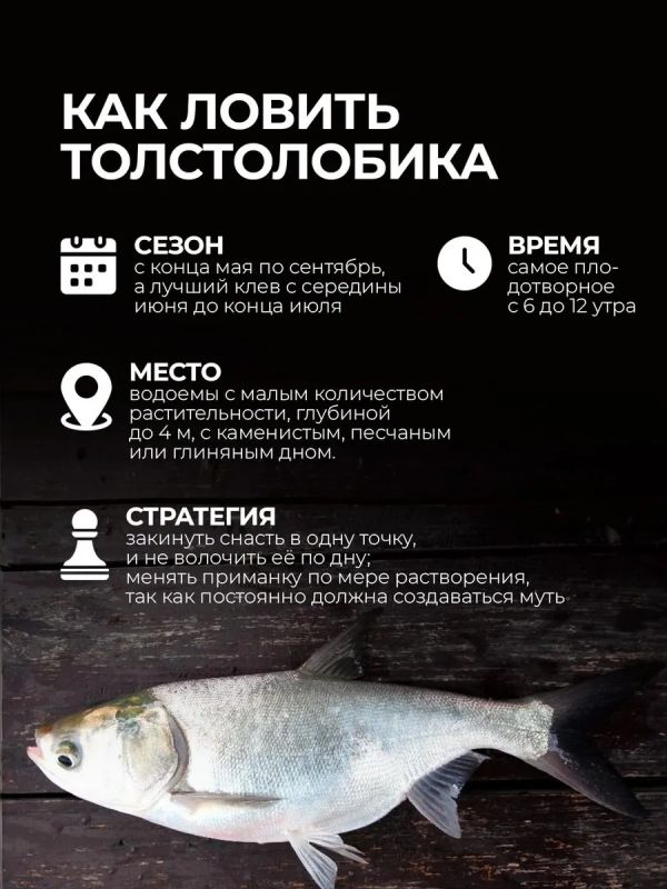 Монтаж убийца толстолоба