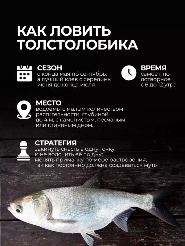 Поплавок убийца толстолоба неоснащенный 2шт