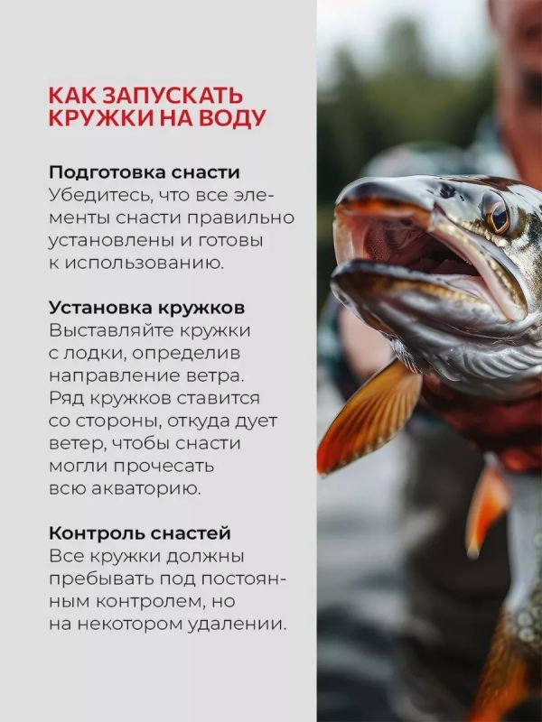 Жерлицы летние оснащённые на щуку кружки 10 шт
