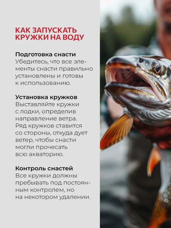 Жерлицы летние оснащённые на щуку кружки 5 шт