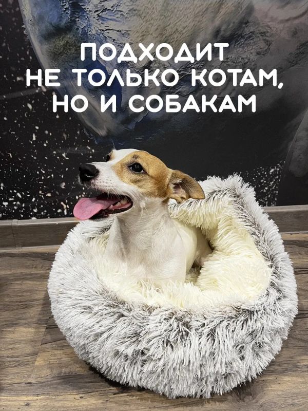 Лежанка домик для кошек и собак