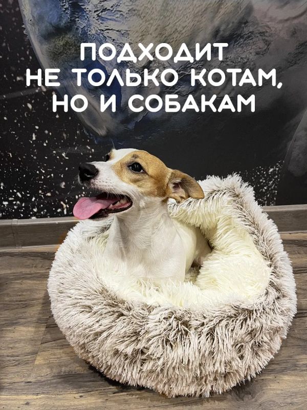 Лежанка для кошек и собак мелких пород