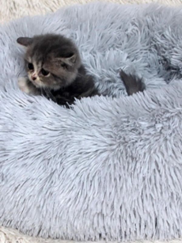 Лежанка для кошек и собак мелких пород