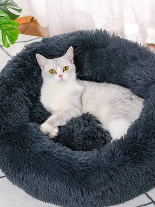 Лежанка для кошек и собак мелких пород