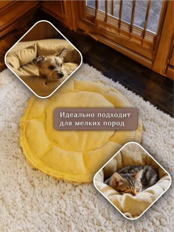 Лежанка для котят и щенков маленькая с бортиком 35х50см