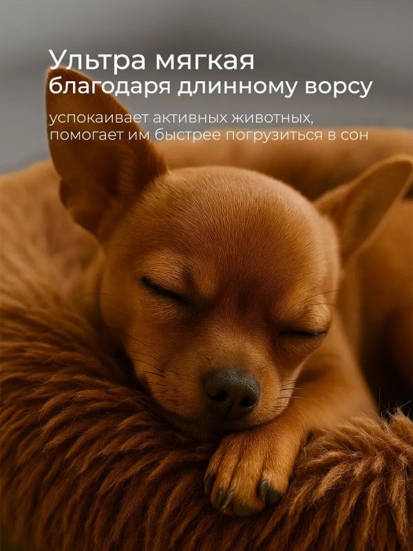 Лежанка для кошек и собак мелких пород