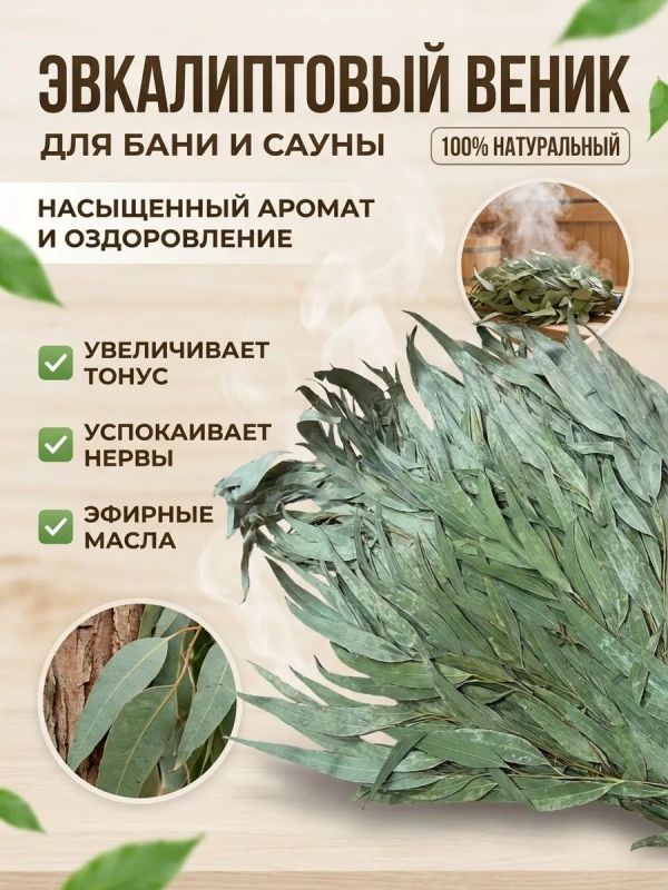 Веник для бани эвкалиптовый