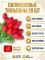 Искусственные тюльпаны силиконовые для декора